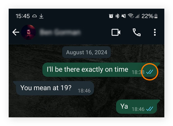 已发送和已读 WhatsApp 消息示例